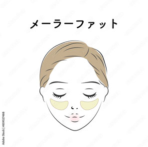 脂肪抽吸 蛋白粉 术后 营养