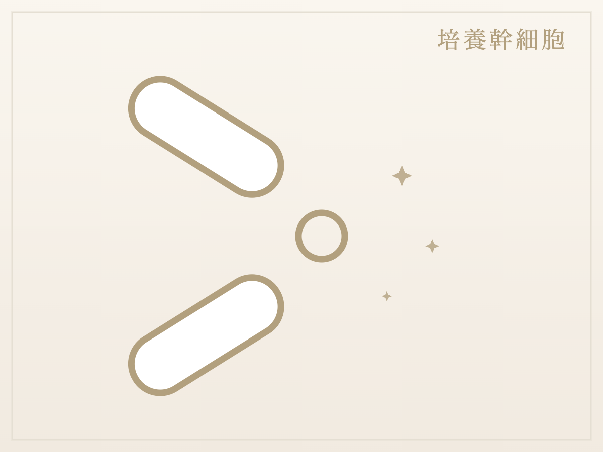 培養幹細胞（関節）
