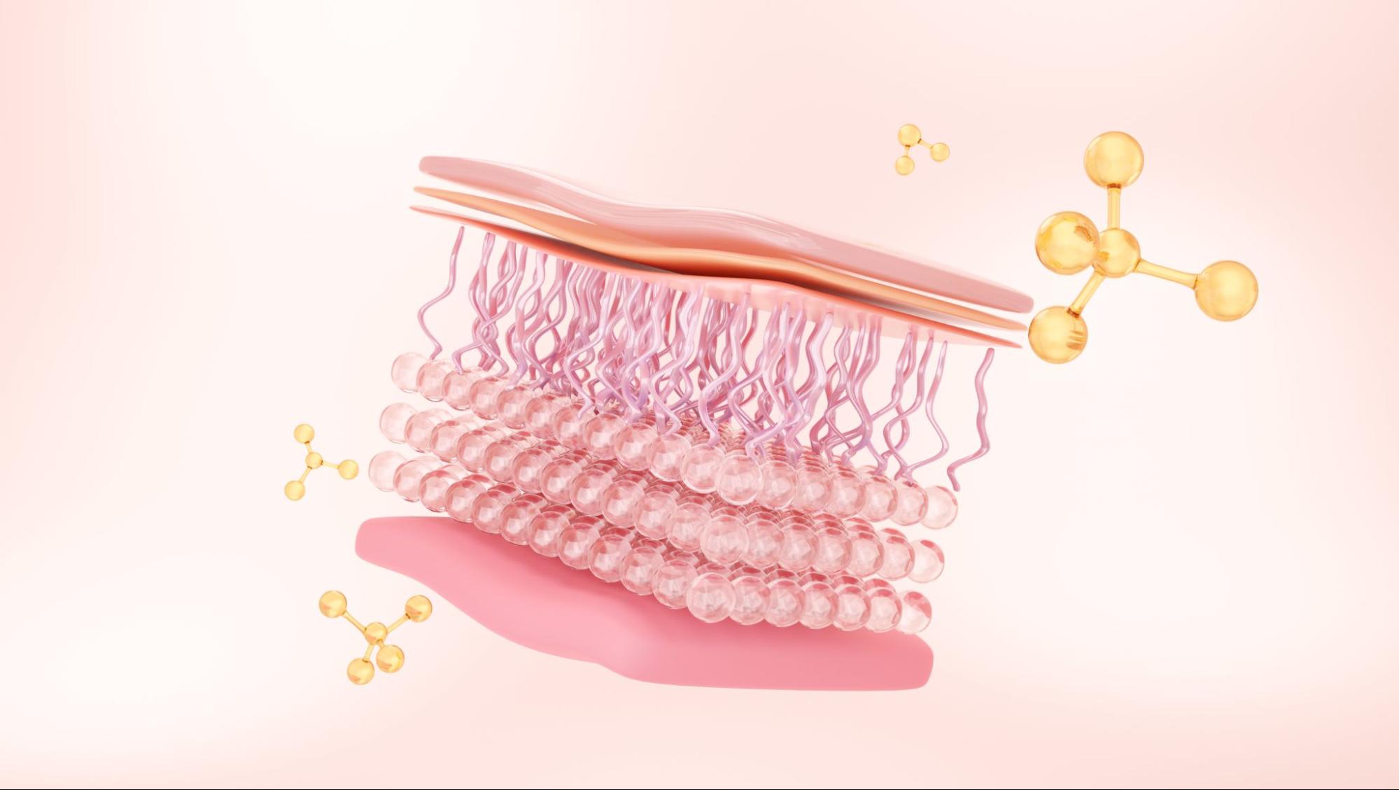 scalp microbiome hair follicle regeneration