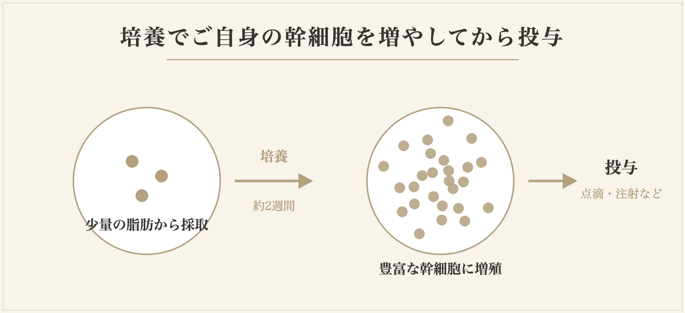 培養でご自身の幹細胞を増やしてから投与するイメージ
